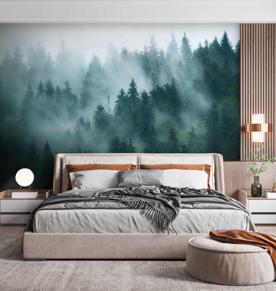 Foggy forest with trees