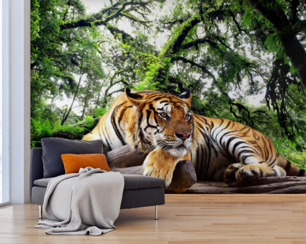Tiger lying on a log Tiger lying on a log