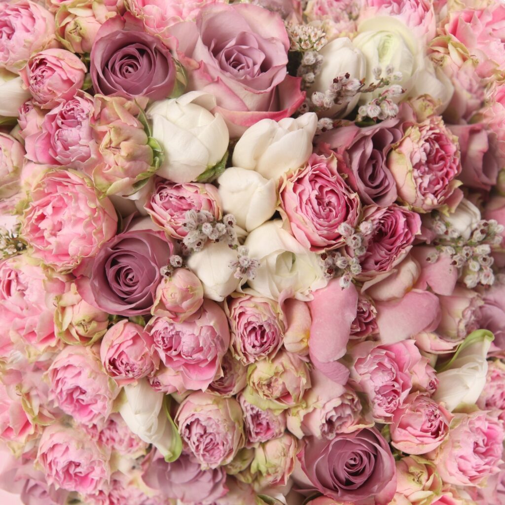 Lovely bouquet of pink roses Lovely bouquet of pink roses