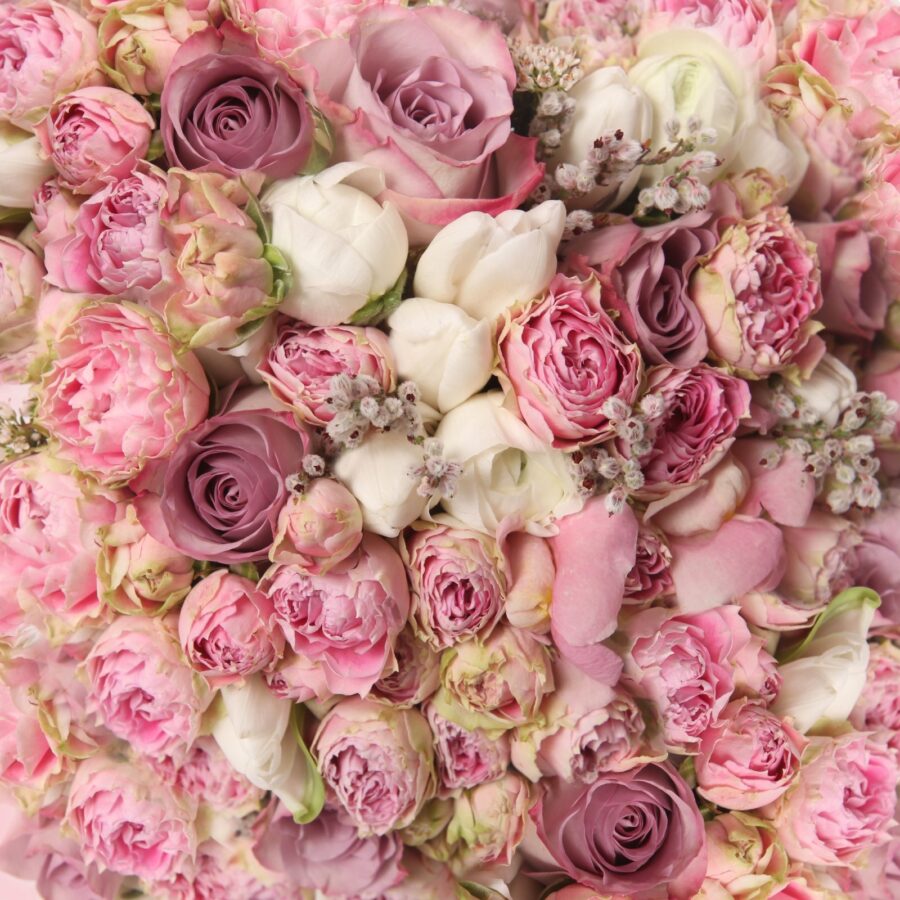 Lovely bouquet of pink roses Lovely bouquet of pink roses