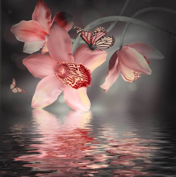 Pink orchids and butterflies on a branch Pink orchids and butterflies on a branch