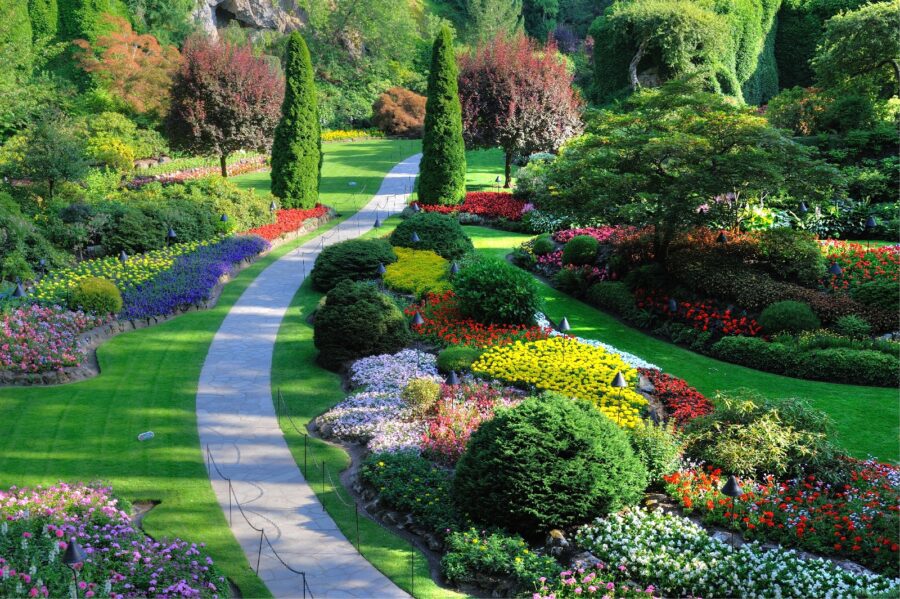 Garden with many flowers and trees