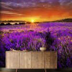 Wall murals Field of purple flowers