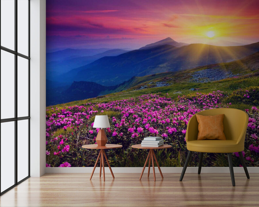 Field of flowers with the sun setting behind it