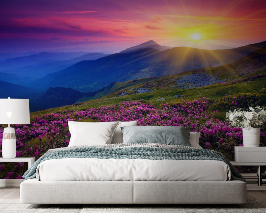Field of flowers with the sun setting behind it