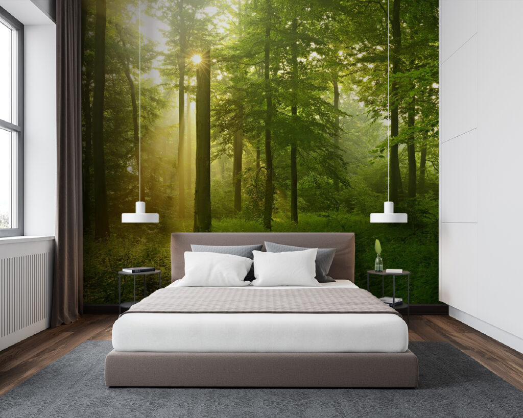 Sun shining through trees