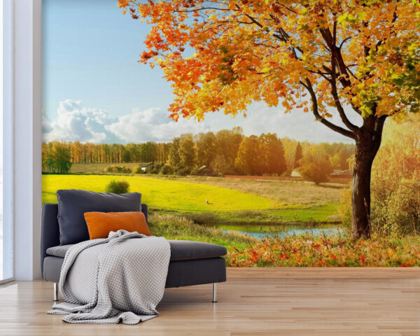 Tree with orange leaves in a field Tree with orange leaves in a field