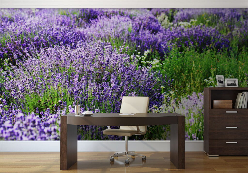 Field of purple flowers u57293piw1 1024x712 - Field of purple flowers - tegory