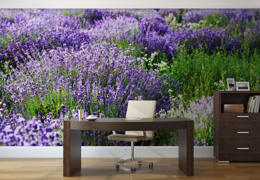 Wall murals Field of purple flowers - Image 2