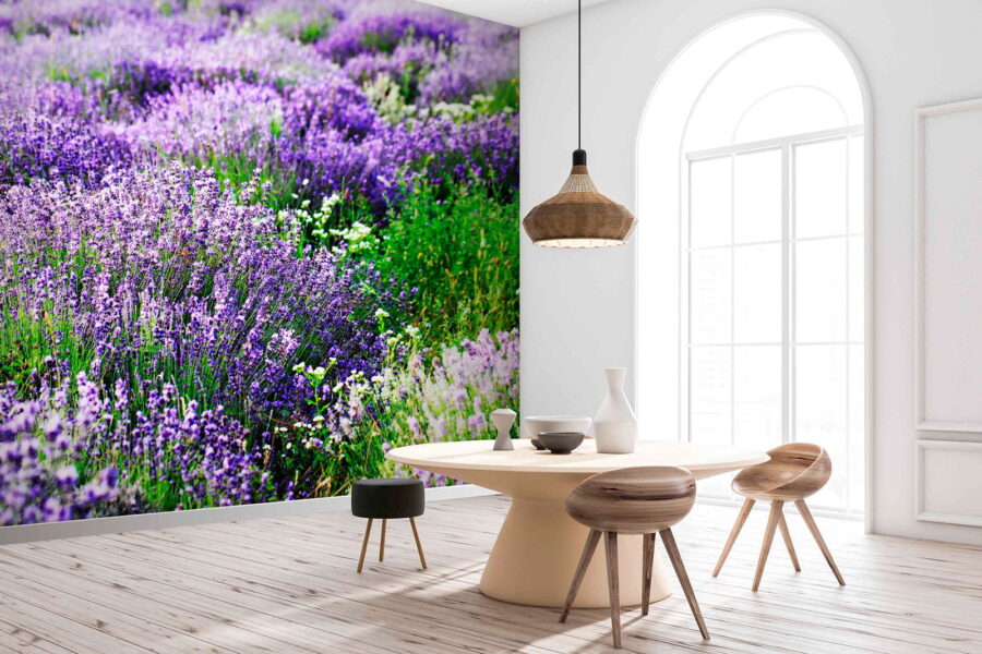 Wall murals Field of purple flowers