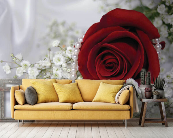 Red rose and white flowers Red rose and white flowers
