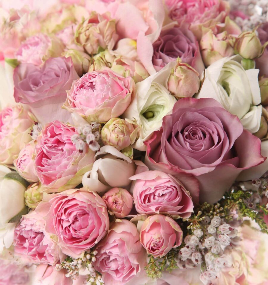 Bouquet of pink and white roses