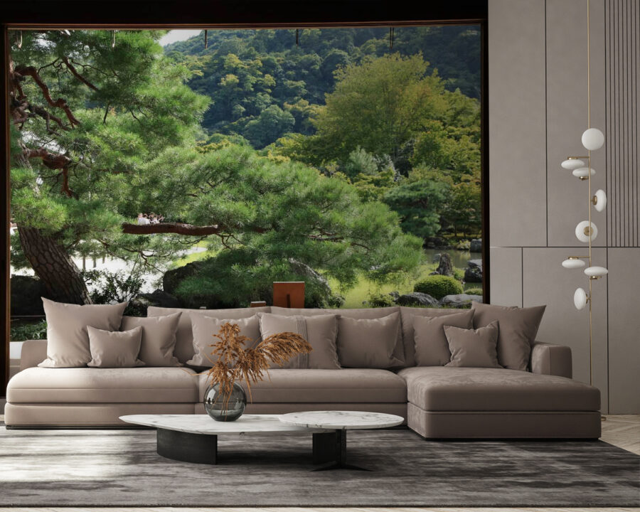 View of a forest from a room