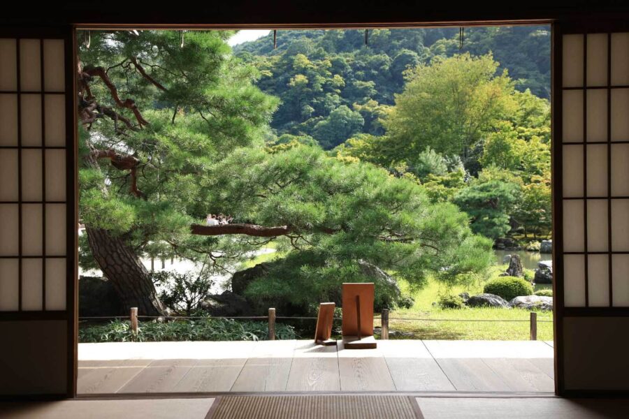 View of a forest from a room