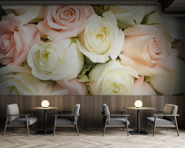 Group of pink and white roses Group of pink and white roses
