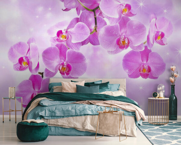 Delicate orchids in soft hues Delicate orchids in soft hues