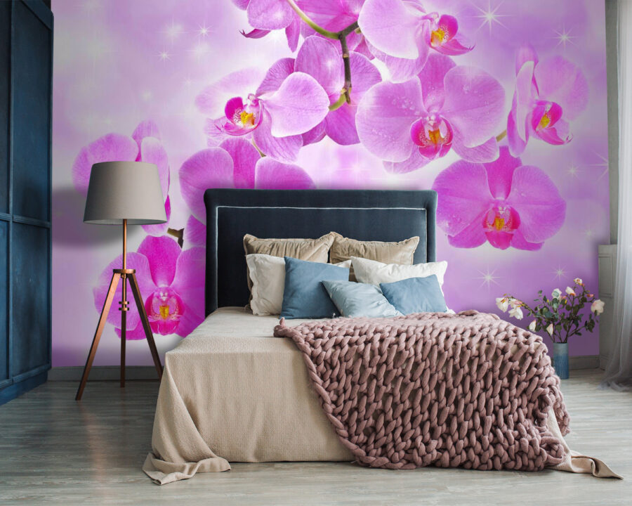 Delicate orchids in soft hues
