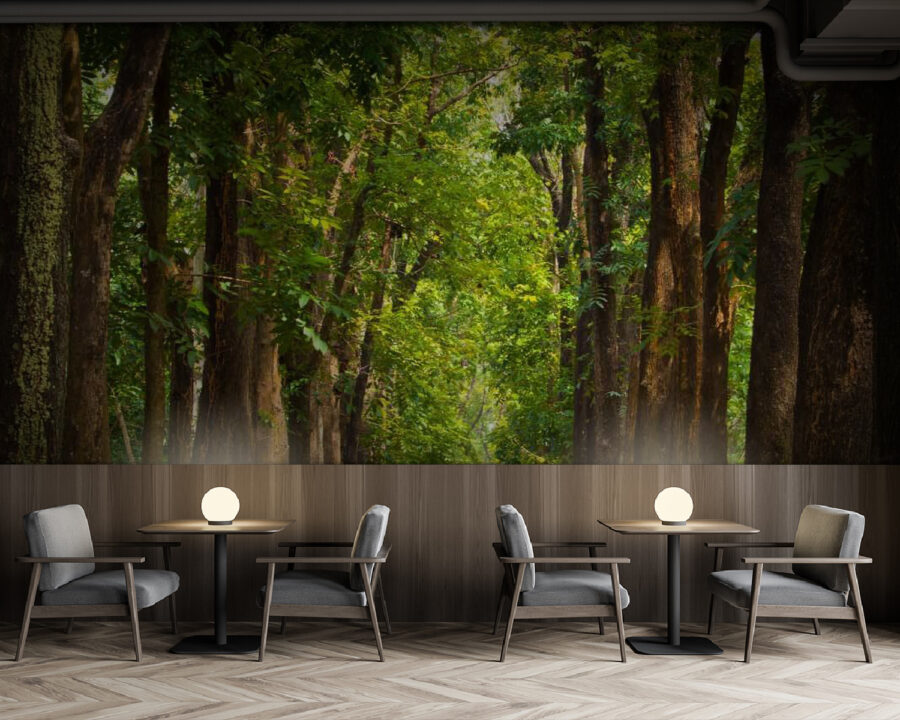 Wall murals Path with trees on the side