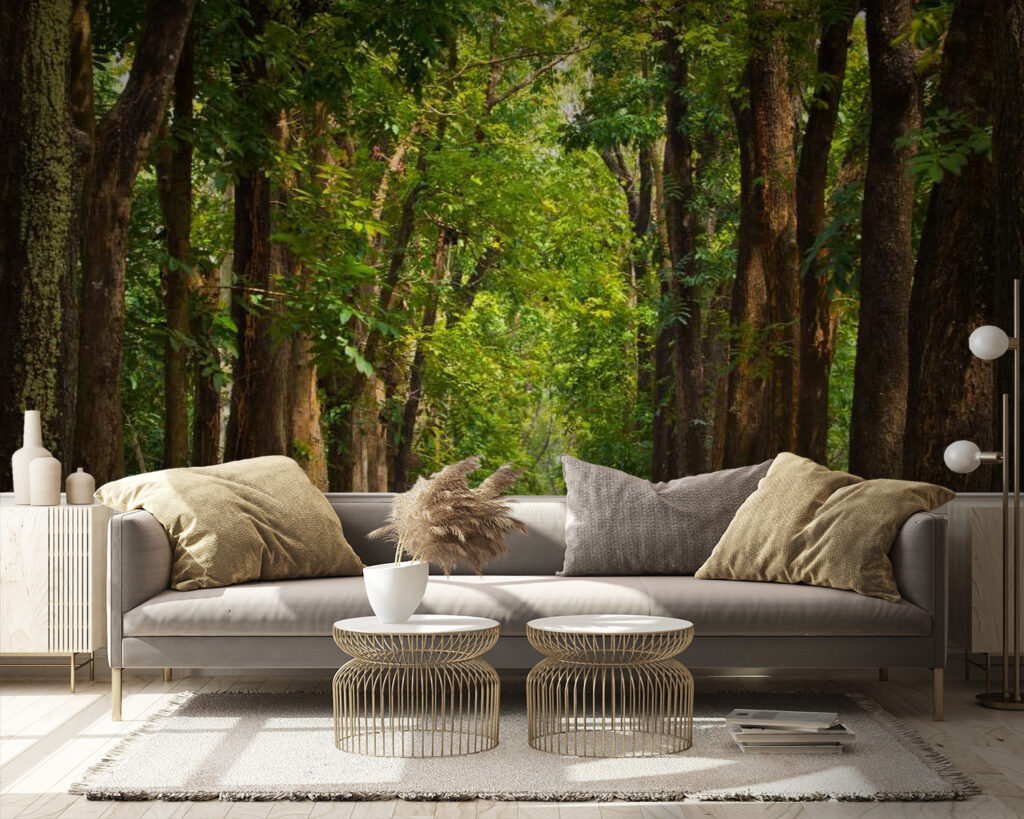 u55418pig9 1024x819 - Path with trees on the side - tegory