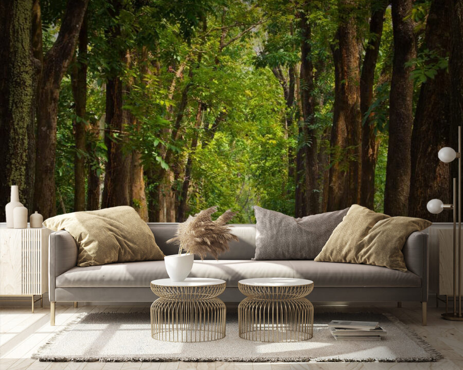 Wall murals Path with trees on the side - Image 3