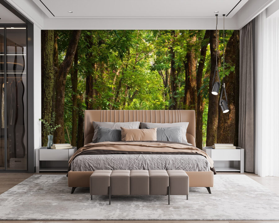Wall murals Path with trees on the side - Image 2