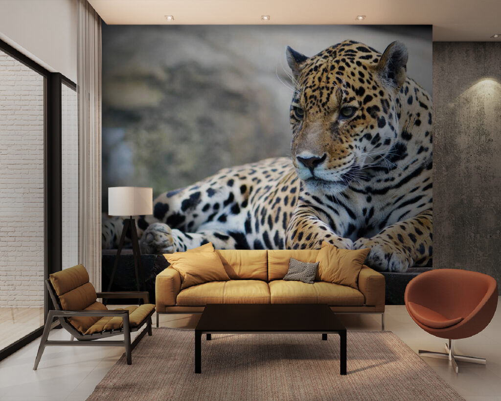 u55313pig28m 1024x819 - Leopard lying on a wood surface - tegory