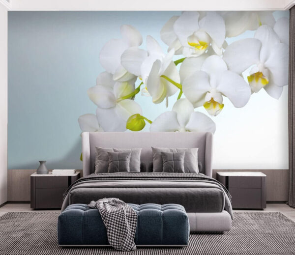 White orchids over water White orchids over water