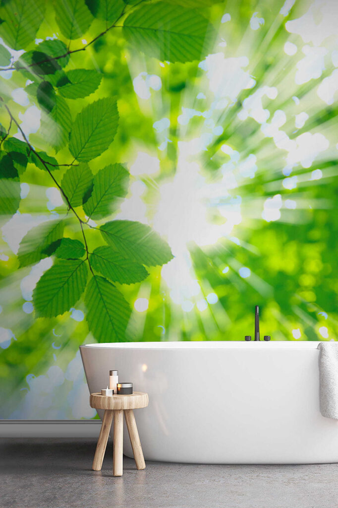 Sun shining through leaves Sun shining through leaves