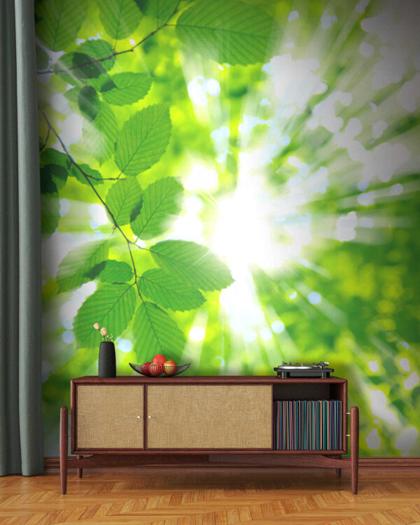 Sun shining through leaves Sun shining through leaves