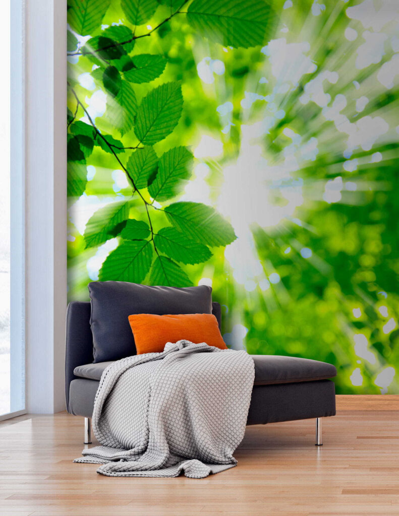 Sun shining through leaves Sun shining through leaves