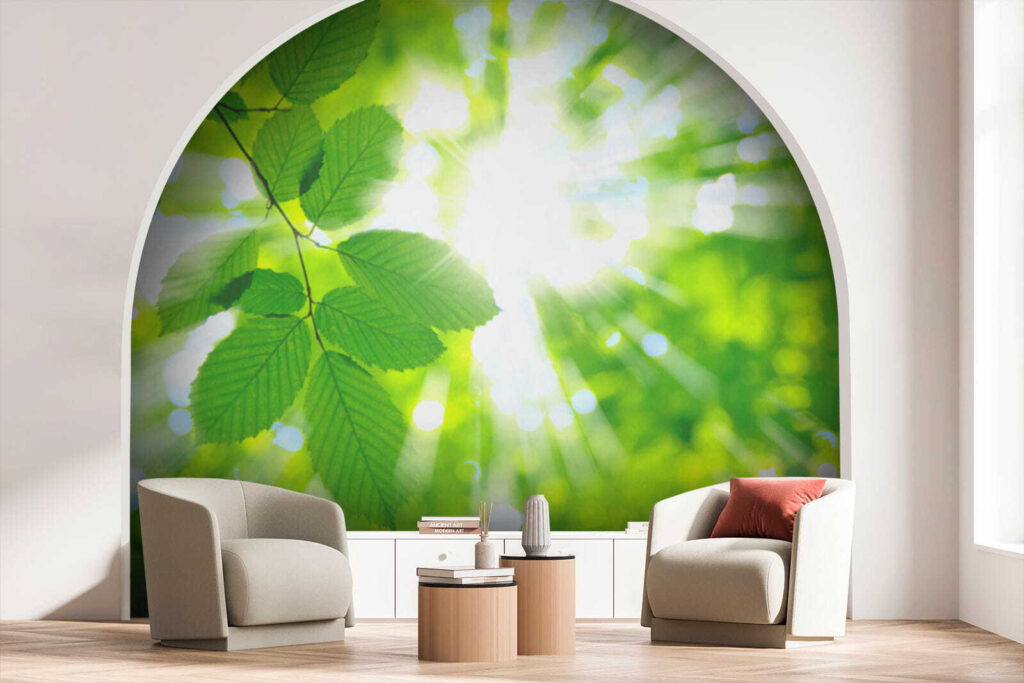 Sun shining through leaves Sun shining through leaves