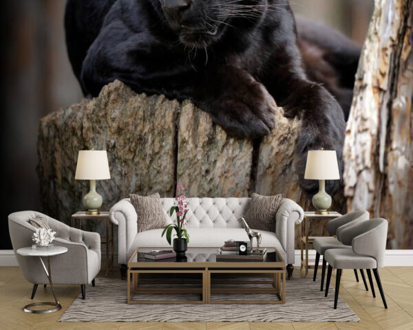 Black panther lying on a tree stump Black panther lying on a tree stump