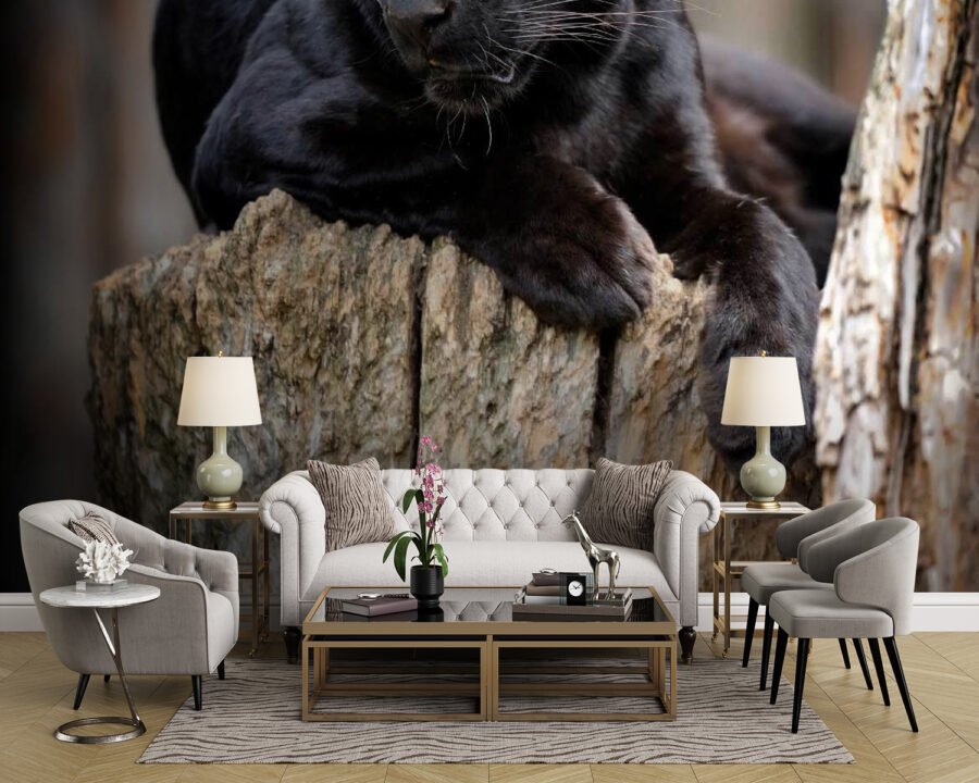 Black panther lying on a tree stump