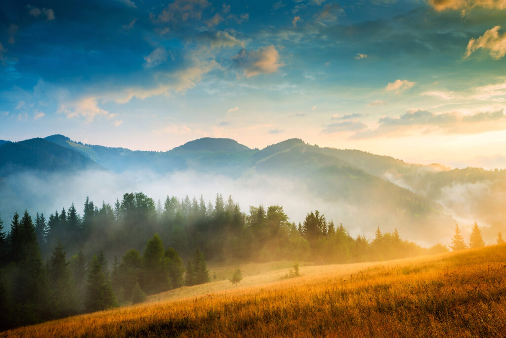 Landscape with trees and mountains Landscape with trees and mountains