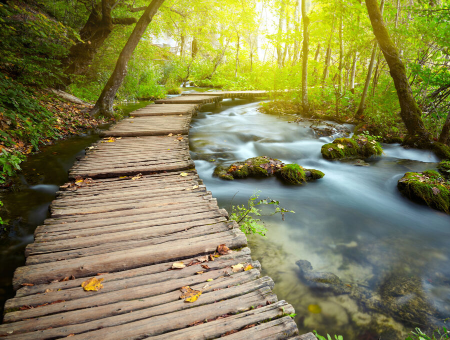 Wooden bridge over a river