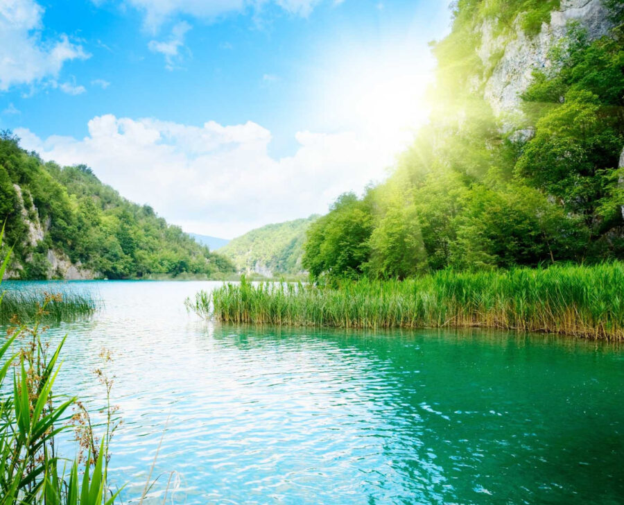 Body of water with grass and trees around it