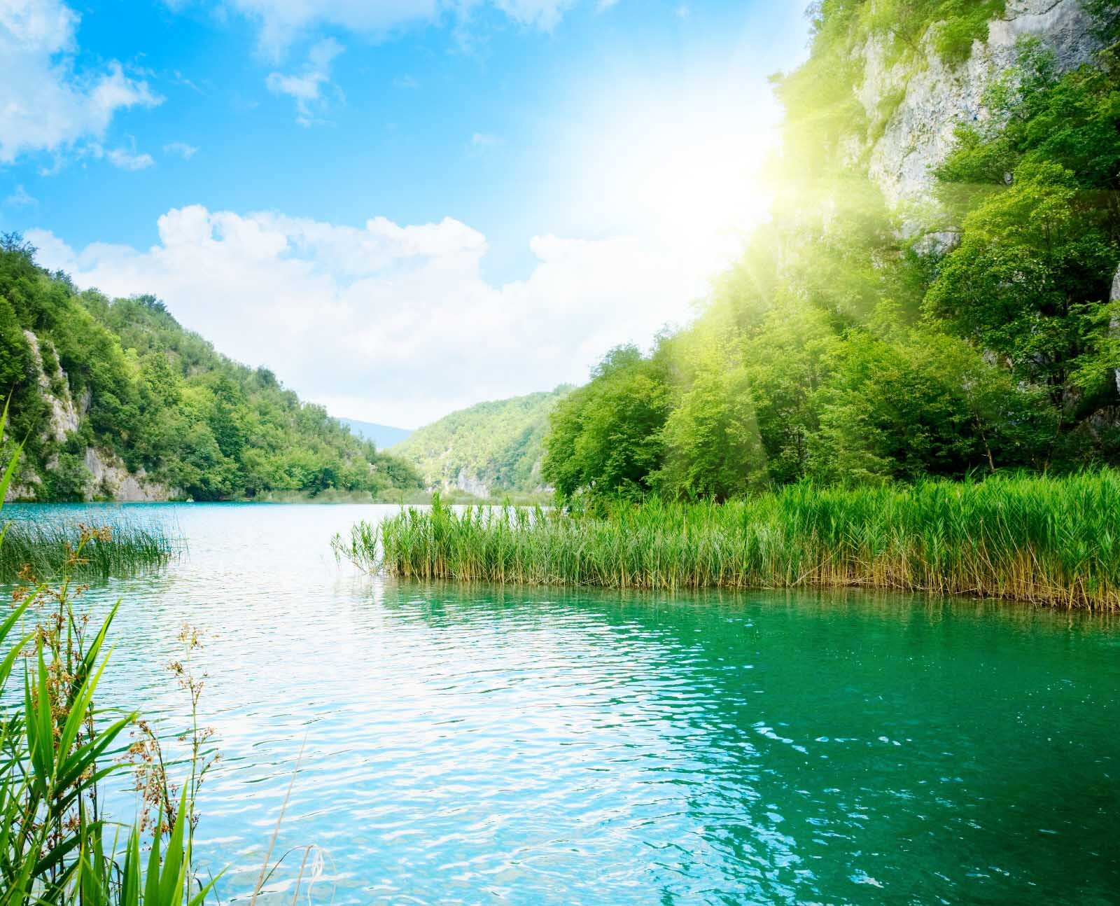 Body of water with grass and trees around it u54263p - Body of water with grass and trees around it - tegory