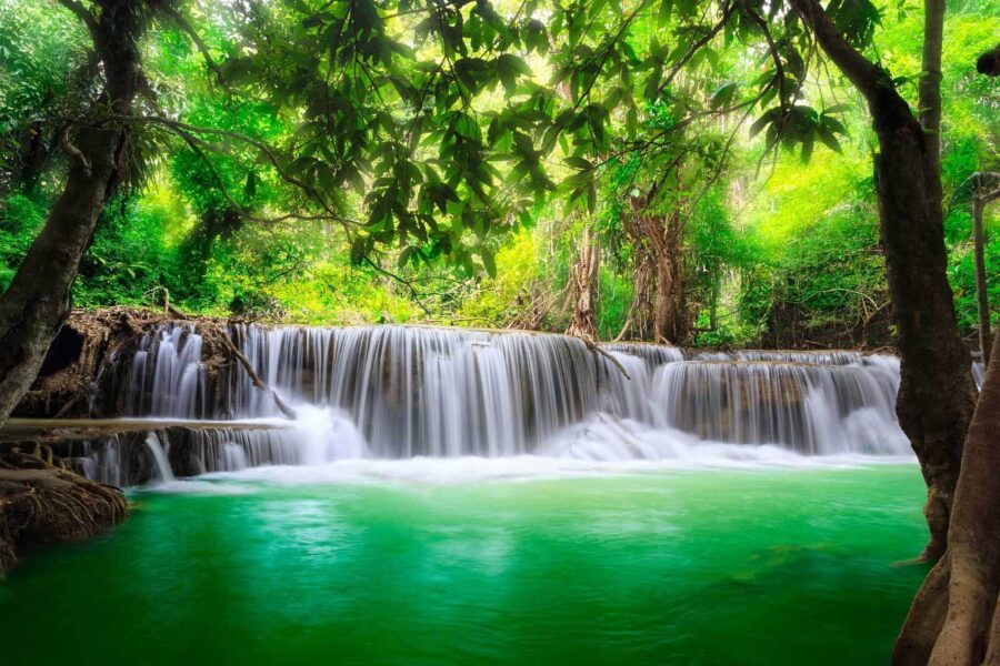 Waterfall in a forest