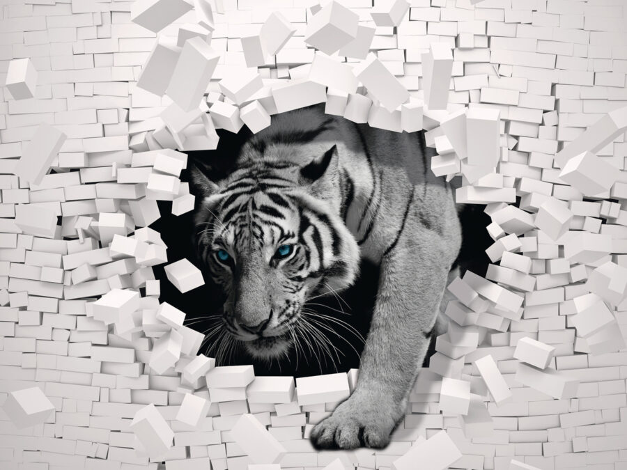 Tiger coming out of a wall