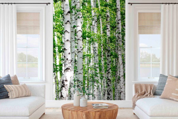 Group of trees with green leaves Group of trees with green leaves
