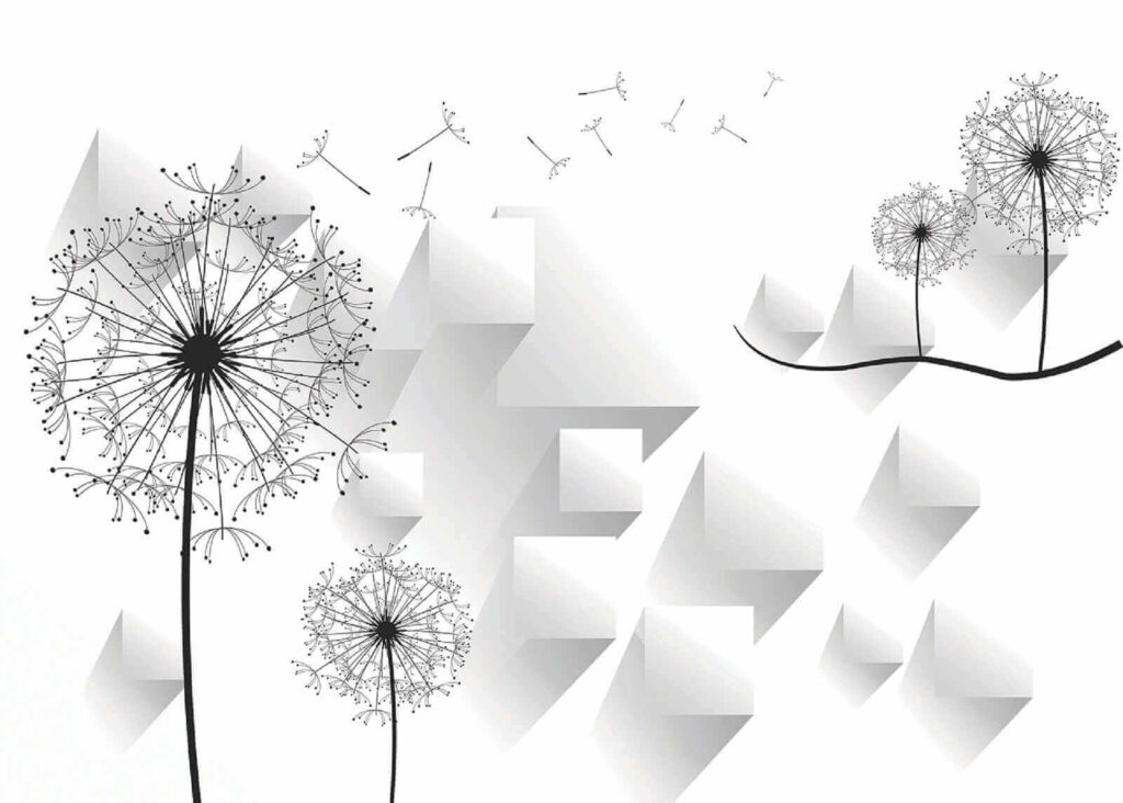 Dandelion flowers and a white background Dandelion flowers and a white background