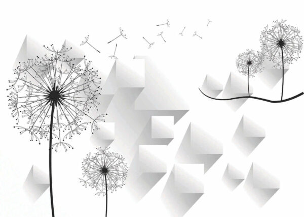Dandelion flowers and a white background Dandelion flowers and a white background