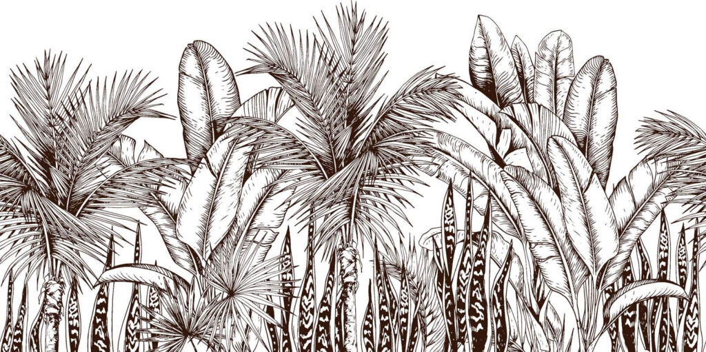 Group of palm trees Group of palm trees