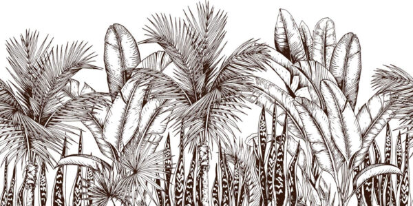 Group of palm trees Group of palm trees
