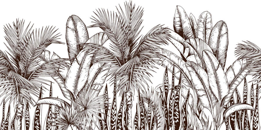 Group of palm trees