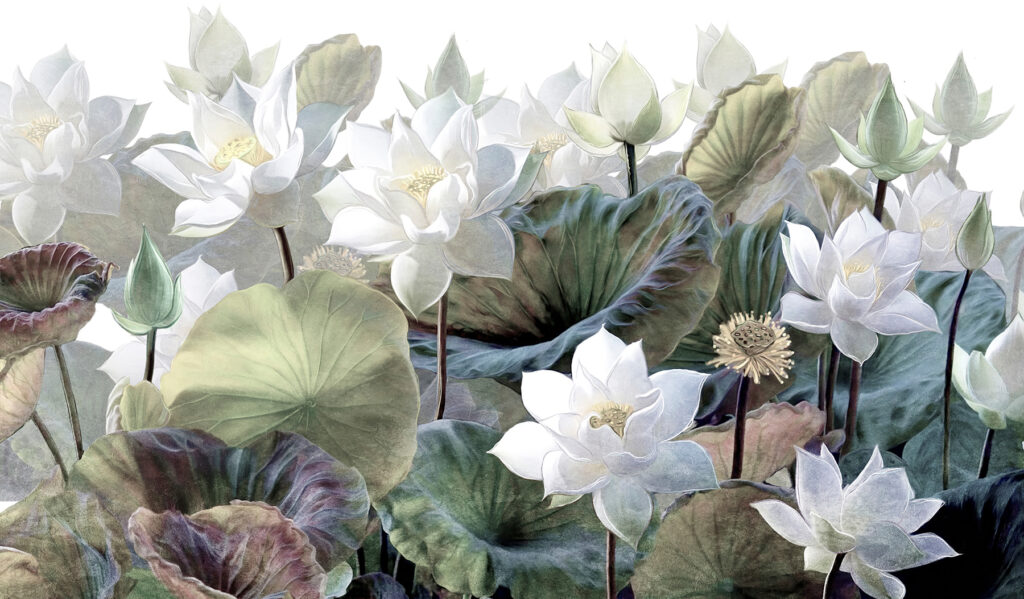 Group of white flowers and green leaves Group of white flowers and green leaves