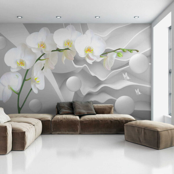 White orchids and white balls White orchids and white balls