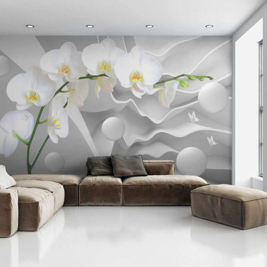 White orchids and white balls White orchids and white balls