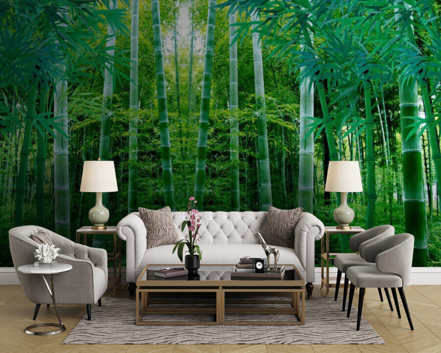 Wall murals Group of bamboo trees