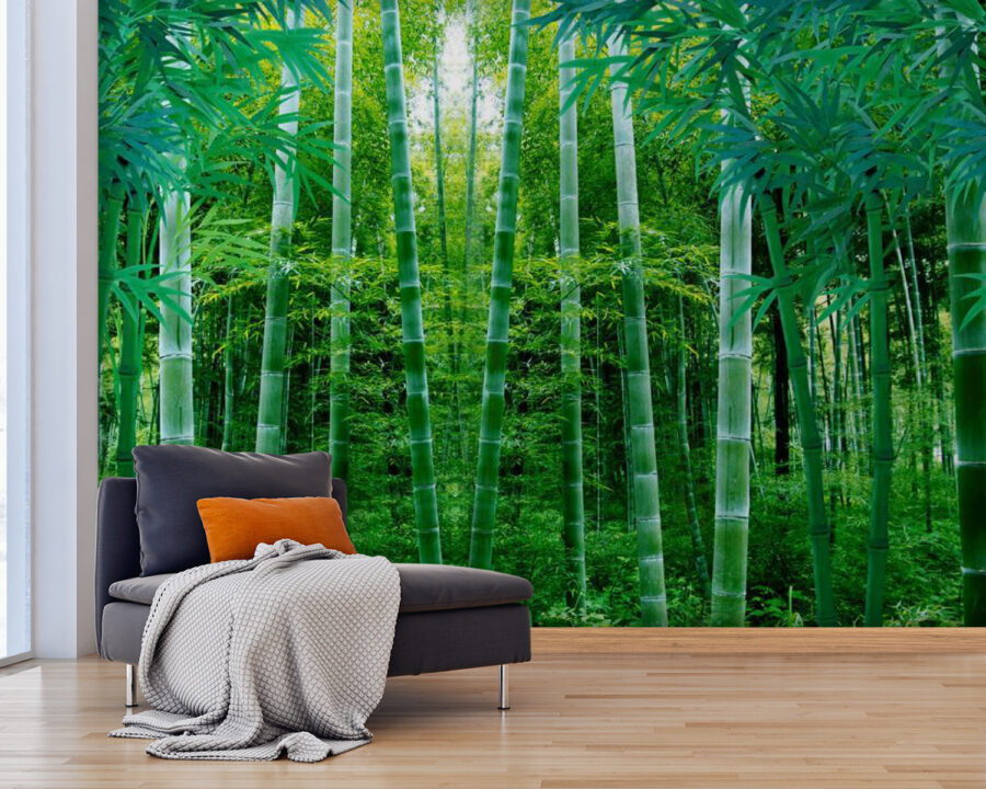 Wall murals Group of bamboo trees - Image 2